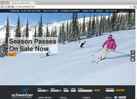schweitzer.com screenshot